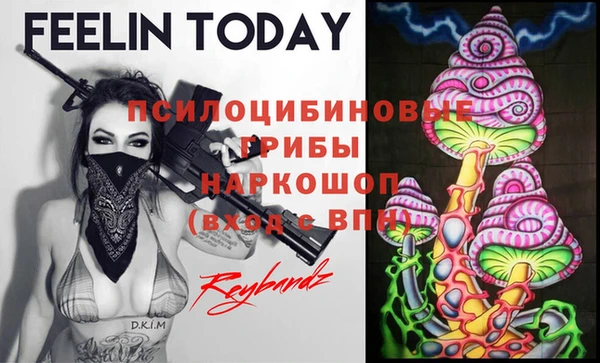 ГАЛЛЮЦИНОГЕННЫЕ ГРИБЫ Арсеньев