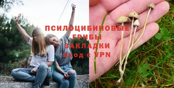 дживик Нефтегорск