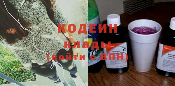 ГАЛЛЮЦИНОГЕННЫЕ ГРИБЫ Арсеньев