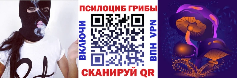 mega онион  площадка наркотические препараты  Галлюциногенные грибы MAGIC MUSHROOMS  Новоузенск 